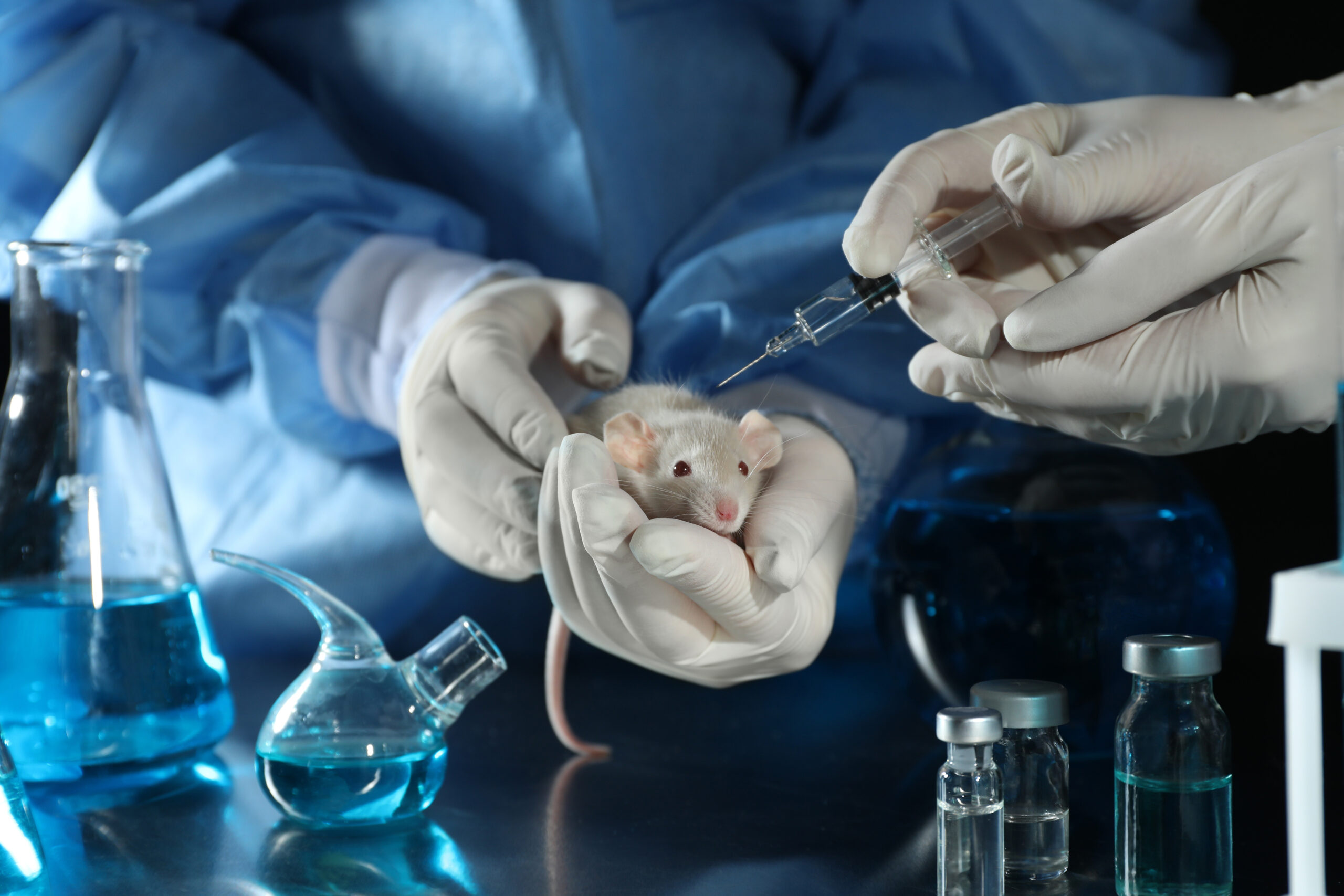 Alvorlige hjerneskader og adferdsavvik hos rotter født av mRNA-vaksinerte mødre